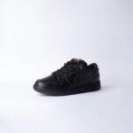 SB Dunk Low Triple Black